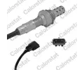 Lambda sonda CALORSTAT by Vernet ‐ CSV LS140731