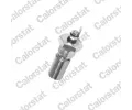 Olejov� tlakov� sp�na�&nbsp;CALORSTAT by Vernet&nbsp;&dash;&nbsp;CSV OS3500