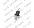 Olejov tlakov spna CALORSTAT by Vernet ‐ CSV OS3538