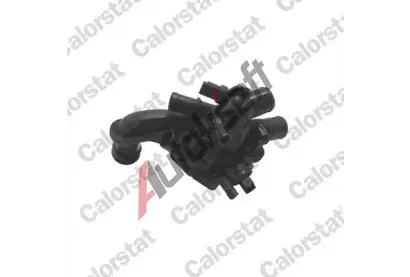 CALORSTAT by Vernet Termostat chladiva CSV TE2110.105J, TE2110.105J