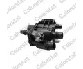 Termostat chladiva CALORSTAT by Vernet ‐ CSV TE2113.97J