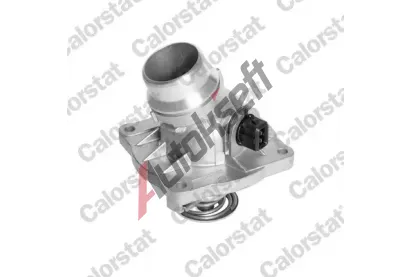 CALORSTAT by Vernet Termostat chladiva CSV TE6493.105J, TE6493.105J