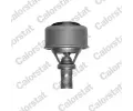 Termostat chladiva CALORSTAT by Vernet ‐ CSV TH4495.86