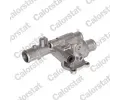 Termostat chladiva CALORSTAT by Vernet ‐ CSV TH6590.88J