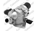 Termostat chladiva CALORSTAT by Vernet ‐ CSV TH6824.88J