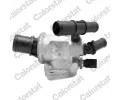 Termostat chladiva CALORSTAT by Vernet ‐ CSV TH6833.88J