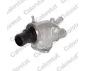 Termostat chladiva CALORSTAT by Vernet ‐ CSV TH6839.88J