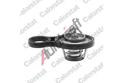 CALORSTAT by Vernet Termostat chladiva CSV TH6843.91J, TH6843.91J