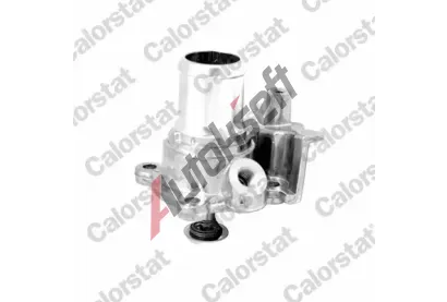 CALORSTAT by Vernet Termostat chladiva CSV TH7303.82J, TH7303.82J