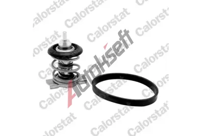 CALORSTAT by Vernet Termostat chladiva CSV TH9200.88J, TH9200.88J