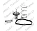 Termostat chladiva CALORSTAT by Vernet ‐ CSV THK7276.83J