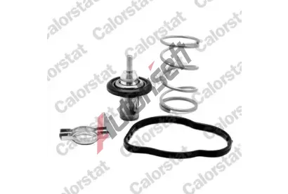 CALORSTAT by Vernet Termostat chladiva CSV THK7276.83J, THK7276.83J