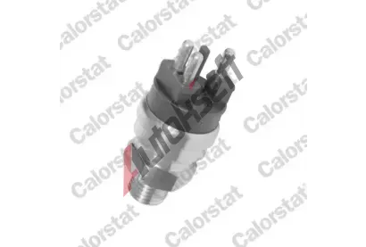 CALORSTAT by Vernet Teplotní spínač větráku chladiče CSV TS2624, TS2624  CALORSTAT by Vernet Teplotní spínač větráku chladiče CSV TS2624, TS2624