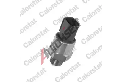 CALORSTAT by Vernet Teplotní spínač větráku chladiče CSV TS2708, TS2708 CALORSTAT by Vernet Teplotní spínač větráku chladiče CSV TS2708, TS2708