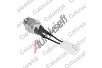 CALORSTAT by Vernet Teplotní spínač větráku chladiče CSV TS2850, TS2850 CALORSTAT by Vernet Teplotní spínač větráku chladiče CSV TS2850, TS2850