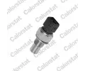 Senzor teploty chladic kapaliny CALORSTAT by Vernet ‐ CSV WS2502