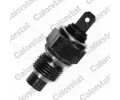 Senzor teploty chladic kapaliny CALORSTAT by Vernet ‐ CSV WS2504