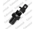 Senzor teploty chladic kapaliny CALORSTAT by Vernet ‐ CSV WS2540