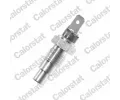 Senzor teploty chladic kapaliny CALORSTAT by Vernet ‐ CSV WS2544