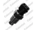 Senzor teploty chladic� kapaliny&nbsp;CALORSTAT by Vernet&nbsp;&dash;&nbsp;CSV WS2575