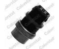 Senzor teploty chladic kapaliny CALORSTAT by Vernet ‐ CSV WS2581