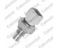 Senzor teploty chladic kapaliny CALORSTAT by Vernet ‐ CSV WS2584