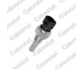 Senzor teploty chladic kapaliny CALORSTAT by Vernet ‐ CSV WS2586