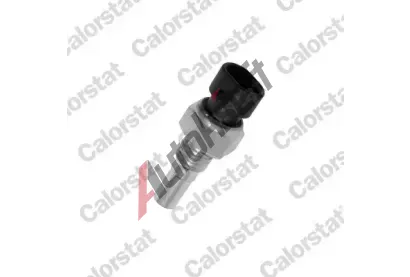 CALORSTAT by Vernet Senzor teploty chladic kapaliny CSV WS2586, WS2586