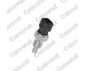 Senzor teploty chladic kapaliny CALORSTAT by Vernet ‐ CSV WS2611