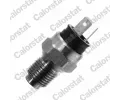 Senzor teploty chladic kapaliny CALORSTAT by Vernet ‐ CSV WS2615