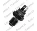 Senzor teploty chladic kapaliny CALORSTAT by Vernet ‐ CSV WS2623