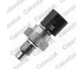Senzor teploty chladic kapaliny CALORSTAT by Vernet ‐ CSV WS2636