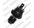 Senzor teploty chladic� kapaliny&nbsp;CALORSTAT by Vernet&nbsp;&dash;&nbsp;CSV WS2684