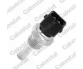 Senzor teploty chladic kapaliny CALORSTAT by Vernet ‐ CSV WS3020