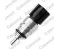 Senzor teploty chladic kapaliny CALORSTAT by Vernet ‐ CSV WS3103