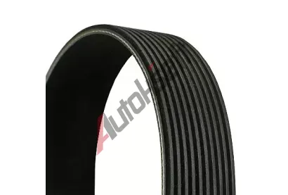 CONTITECH Ozuben� kl�nov� �emen CTT 10PK2175, 10PK2175