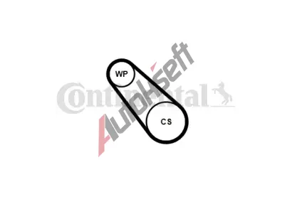 CONTITECH Vodní pumpa klínového drážkového řemenu CTT 3PK725 ELAST WP1, 3PK725 ELAST WP1  CONTITECH Vodní pumpa klínového drážkového řemenu CTT 3PK725 ELAST WP1, 3PK725 ELAST WP1