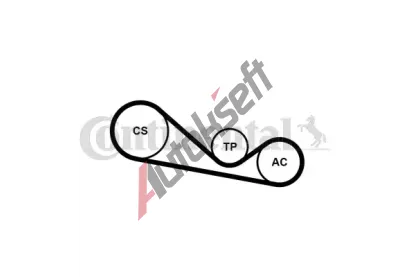 CONTITECH Sada drkovch klnovch emen CTT 4PK1237K1, 4PK1237K1