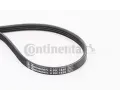 CONTITECH ozuben klnov emen ‐ CTT 4PK1538