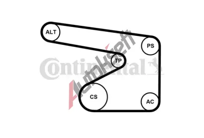 CONTITECH Vodn� pumpa kl�nov�ho dr�kov�ho �emenu CTT 5PK1355WP2, 5PK1355WP2