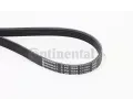 CONTITECH Ozuben klnov emen ‐ CTT 5PK1664 EXTRA