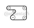 CONTITECH Vodní pumpa klínového drážkového řemenu CTT 5PK1680WP1, 5PK1680WP1