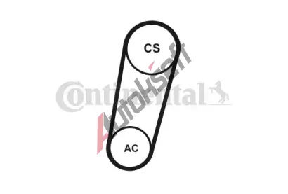 CONTITECH Sada ebrovanch klnovch emen CTT 5PK705 ELAST T1, 5PK705 ELAST T1