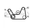 CONTITECH Sada ebrovanch klnovch emen ‐ CTT 6PK1019 ELAST T1