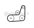CONTITECH Sada drkovch klnovch emen ‐ CTT 6PK1019 ELAST T2