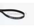 CONTITECH Ozuben klnov emen ‐ CTT 6PK1120 EXTRA