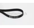 CONTITECH ozuben klnov emen ‐ CTT 6PK1125