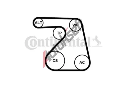 CONTITECH Sada drkovch klnovch emen CTT 6PK1217K2, 6PK1217K2