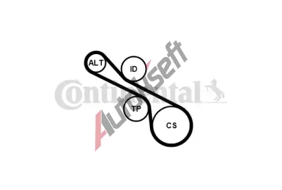 CONTITECH Sada drkovch klnovch emen CTT 6PK1230K1, 6PK1230K1