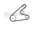 CONTITECH Sada drkovch klnovch emen CTT 6PK1306K2, 6PK1306K2